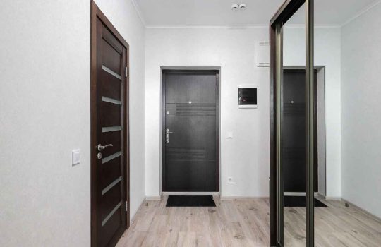 דלתות כניסה2